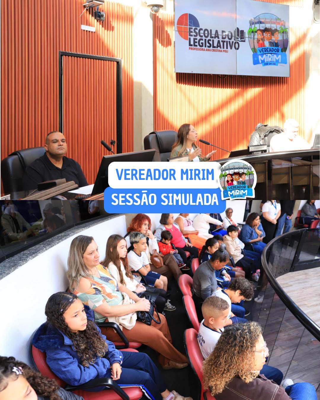 Vereador Mirim Arujá